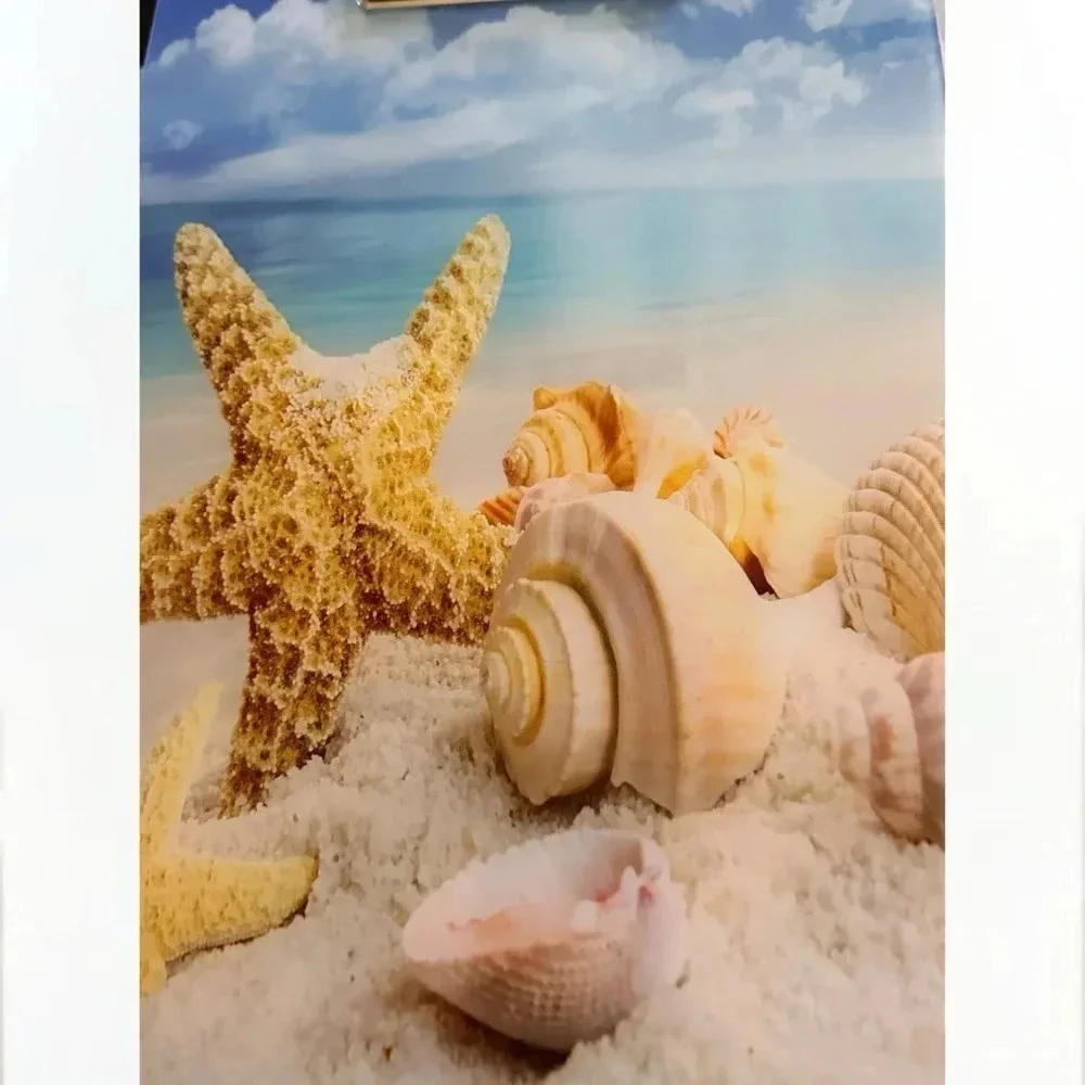 Plastic A4 Clipboards, Cute Clipboard Stardard Letter Size